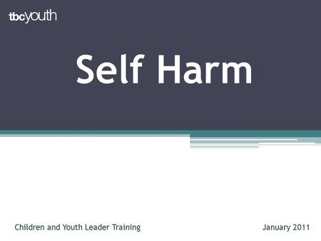 Self Harm Children and Youth Leader TrainingJanuary 2011.