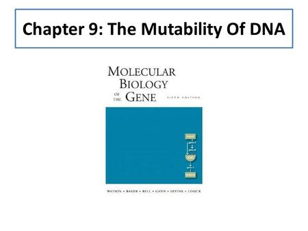 Chapter 9: The Mutability Of DNA