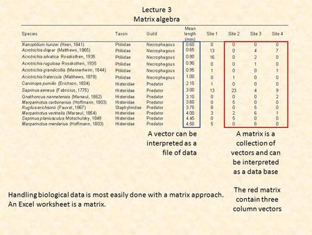 Lecture 3 Matrix algebra A vector can be interpreted as a file of data A matrix is a collection of vectors and can be interpreted as a data base The red.