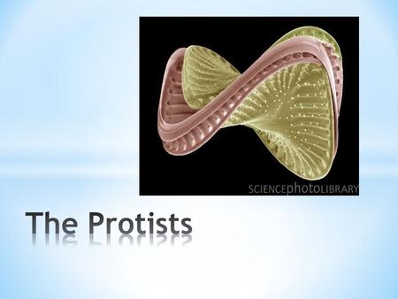 Reminder: Eukaryotes have a nucleus and other membrane-bound organelles, such as mitochondria and chloroplasts Copyright © 2004 by Pearson Education,