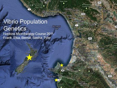 Vibrio Population Genetics Hopkins Microbiology Course 2011 Frank, Elsa, Bernal, Sasha, Tyler.