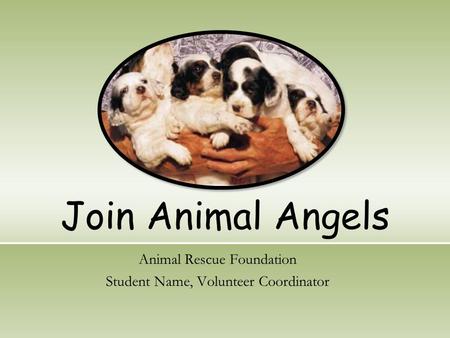 Join Animal Angels Animal Rescue Foundation Student Name, Volunteer Coordinator.