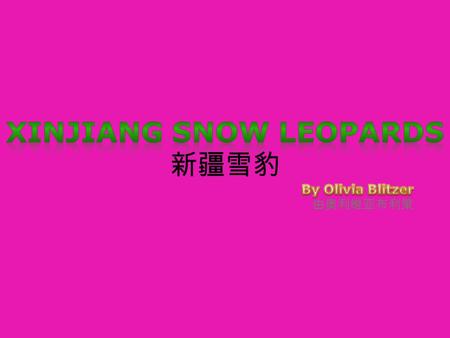 Population: 20.5 million Land Area: 1.6 million sq. km Largest autonomous region in China Borders Gansu and Qinghai Region also shares a 5,000 km border.