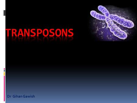 Transposons Dr Gihan Gawish.