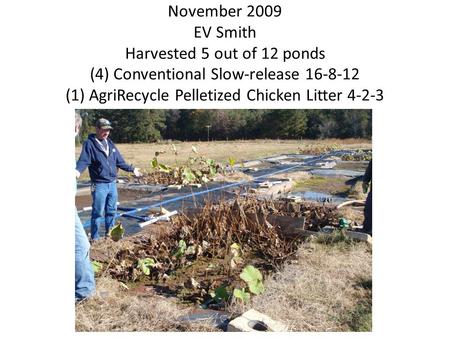 November 2009 EV Smith Harvested 5 out of 12 ponds (4) Conventional Slow-release 16-8-12 (1) AgriRecycle Pelletized Chicken Litter 4-2-3.