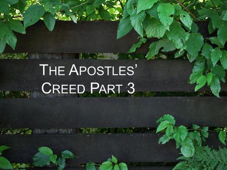 T HE A POSTLES ’ C REED P ART 3. (1) I believe in God, THE F ATHER (2) I believe in J ESUS C HRIST On the third day he rose again. He ascended into heaven.
