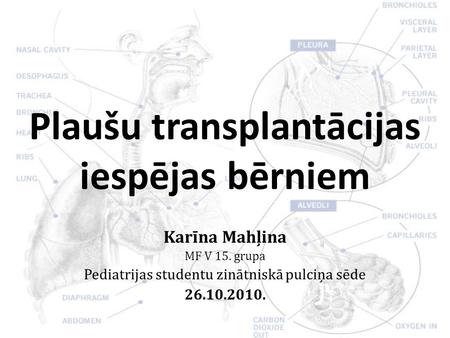 Plaušu transplantācijas iespējas bērniem Karīna Mahļina MF V 15. grupa Pediatrijas studentu zinātniskā pulciņa sēde 26.10.2010.