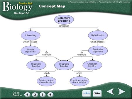 Go to Section: which crosses consists of Selective Breeding for example Inbreeding Hybridization Similar organisms Dissimilar organisms for example Organism.