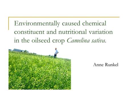 Environmentally caused chemical constituent and nutritional variation in the oilseed crop Camelina sativa. Anne Runkel.