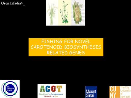 FISHING FOR NOVEL CAROTENOID BIOSYNTHESIS RELATED GENES OrenTzfadia>_.