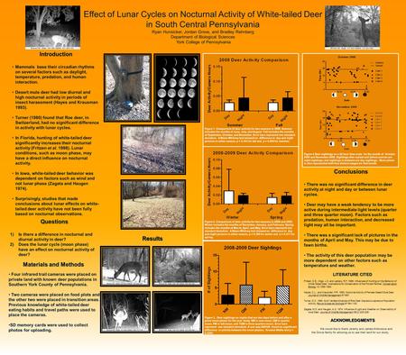 Conclusions There was no significant difference in deer activity at night and day or between lunar cycles. Deer may have a weak tendency to be more active.