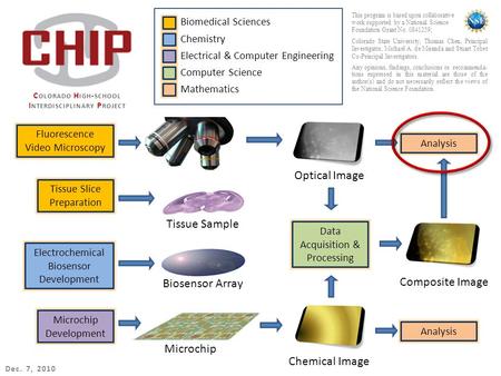 Tissue Slice Preparation Electrochemical Biosensor Development Microchip Development Fluorescence Video Microscopy Optical Image Chemical Image Composite.