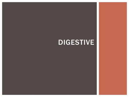 DIGESTIVE. ESOPHAGUS Stratified squamous epithelium Submucosa The muscularis externa Esophageal glands.