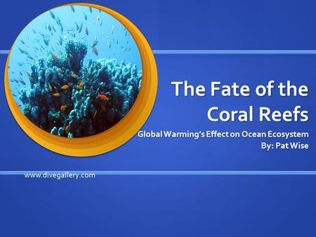 The Fate of the Coral Reefs Global Warming’s Effect on Ocean Ecosystem By: Pat Wise www.divegallery.com.