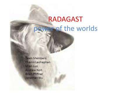 RADAGAST power of the worlds Team Members: Chanin Laohaphan Mian Luo Andrew Noh Brian Pfiffner Jonathan Wu.