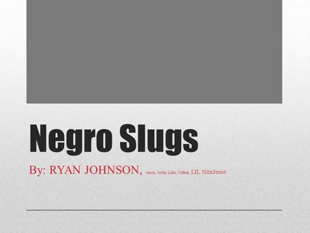 Negro Slugs By: RYAN JOHNSON, simon, Justin, Luke, Nathen, LIL NiinJesse.