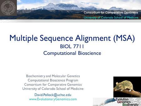 Multiple Sequence Alignment (MSA) BIOL 7711 Computational Bioscience