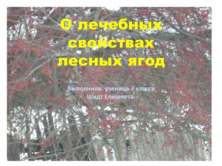 О лечебных свойствах лесных ягод Выполнила: ученица 7 класса Шадт Елизавета.