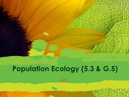 Population Ecology (5.3 & G.5) R2R2. Population Dynamics Four main factors: –Natality – the number of new members of the species due to reproduction;