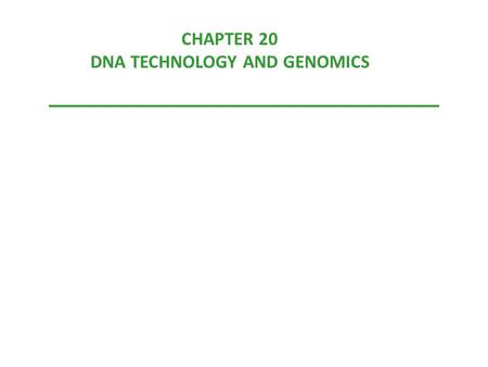 CHAPTER 20 DNA TECHNOLOGY AND GENOMICS