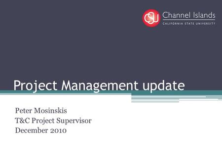 Project Management update Peter Mosinskis T&C Project Supervisor December 2010.