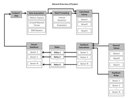 General Overview of System Subject’s step Motion Capture Ground Reaction Forces EMG Sensors Data Acquisition Value A Value B Calculated Values Value X.