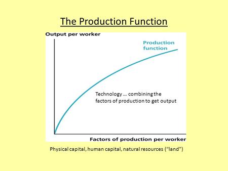 The Production Function