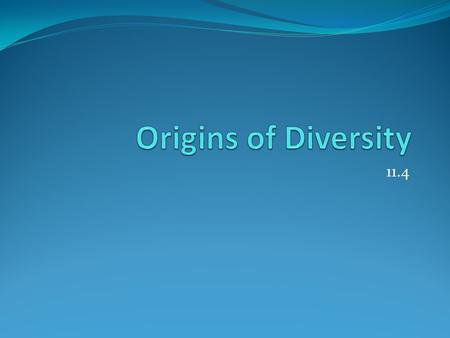 11.4. The Diversity of Species Result of the formation of different species How? A possible explanation: evolution through NATURAL SELECTION - Proposed.