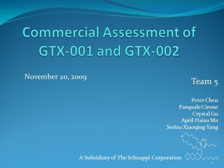 A Subsidiary of The Schnappi Corporation Team 5 Peter Chen Pasquale Cirone Crystal Gu April Haisu Ma Serina Xiaoqing Tang November 20, 2009 1.