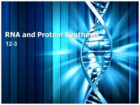 RNA and Protein Synthesis