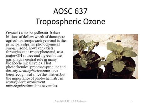 Copyright © 2011 R.R. Dickerson1 AOSC 637 Tropospheric Ozone Ozone is a major pollutant. It does billions of dollars worth of damage to agricultural crops.