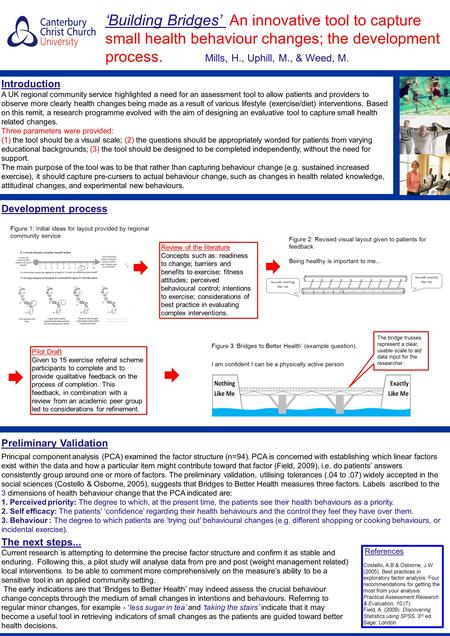 ‘Building Bridges’ An innovative tool to capture small health behaviour changes; the development process. Mills, H., Uphill, M., & Weed, M. Introduction.