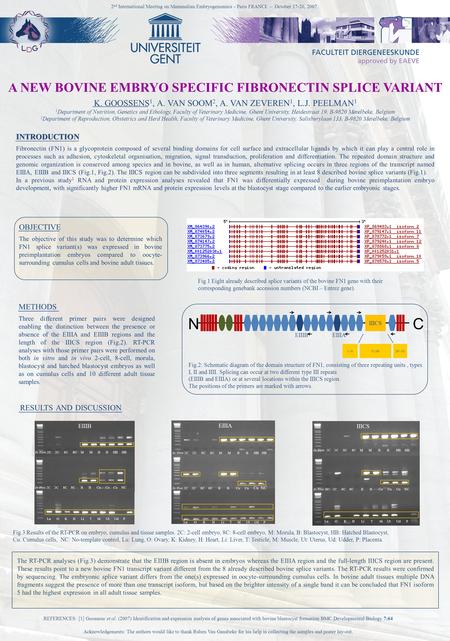 A NEW BOVINE EMBRYO SPECIFIC FIBRONECTIN SPLICE VARIANT K. GOOSSENS 1, A. VAN SOOM 2, A. VAN ZEVEREN 1, L.J. PEELMAN 1 1 Department of Nutrition, Genetics.