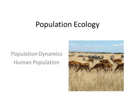 Population Dynamics Human Population