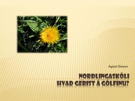 Ágúst Ólason.  Fæddur 1962  Ólst upp i stórri fjölskyldu alþýðufólks  Leið (afar) illa í grunn- og framhaldsskóla  Hætti námi 19 ára  Kvæntur kennara.