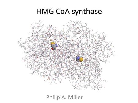 HMG CoA synthase Philip A. Miller. Sequence Mevalonate Pathway.