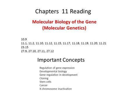 Chapters 11 Reading 10.9 11.1, 11.2, 11.10, 11.12, 11.15, 11.17, 11.18, 11.19, 11.20, 11.21 23.15 27.9, 27.10, 27.11, 27.12 Important Concepts Molecular.