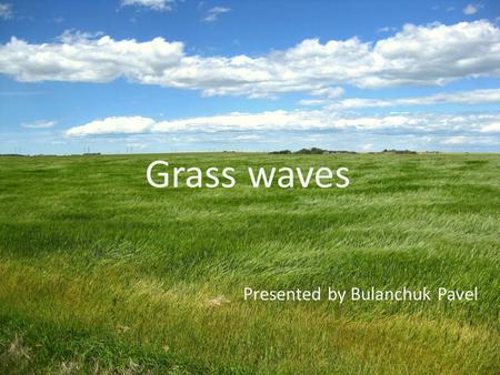 Grass waves Presented by Bulanchuk Pavel. Build a theory of grass waves excitation.