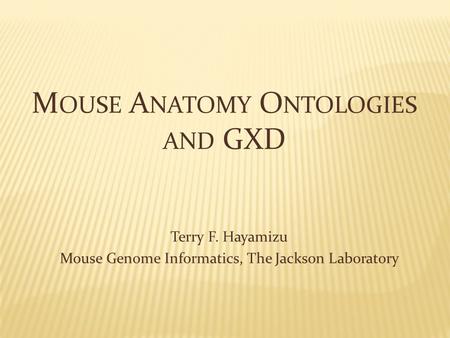 Terry F. Hayamizu Mouse Genome Informatics, The Jackson Laboratory M OUSE A NATOMY O NTOLOGIES AND GXD.