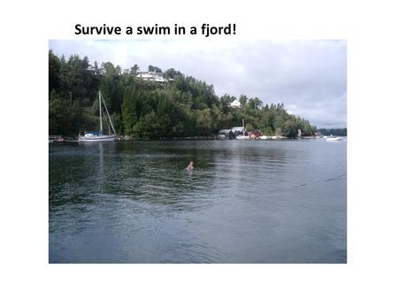 Survive a swim in a fjord!. See the world’s largest ginger bread town!