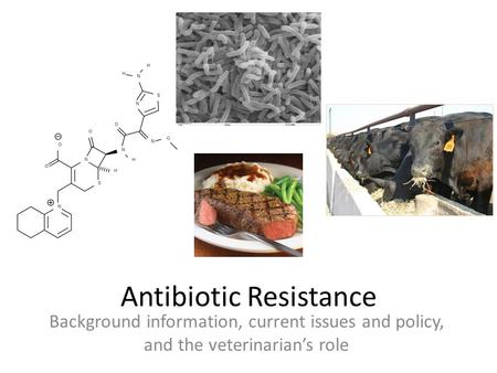 Antibiotic Resistance