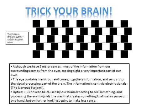 Although we have 5 major senses, most of the information from our surroundings comes from the eyes, making sight a very important part of our lives. The.