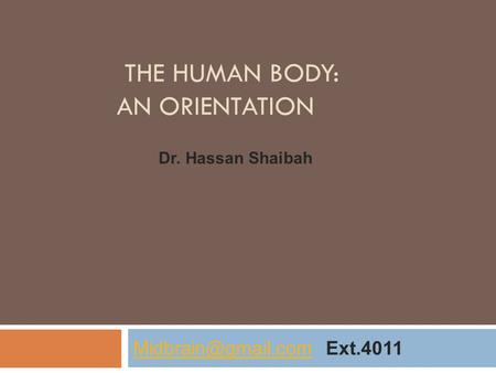 The Human Body: An Orientation