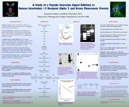 A Study of a Peptide Secretion Signal Addition to Human Interleukin 13 Receptor Alpha 2 and Green Fluorescent Protein Jacqueline Freebery and Jeffrey P.