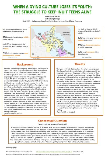 Meaghan Sheehan Gettysburg College Anth 223 – Indigenous Peoples, the Environment, and the Global Economy The Inuit are an indigenous group inhabiting.