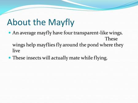 About the Mayfly An average mayfly have four transparent-like wings. 						 	These wings help mayflies fly around the pond where they live These insects.