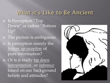  Is Perception “Top Down” or rather “Bottom Up?  The picture is ambiguous  Is perception merely the bottom up reception of pure information?  Or is.