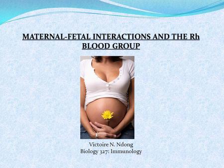 Victoire N. Ndong Biology 327: Immunology. THE PLACENTA.