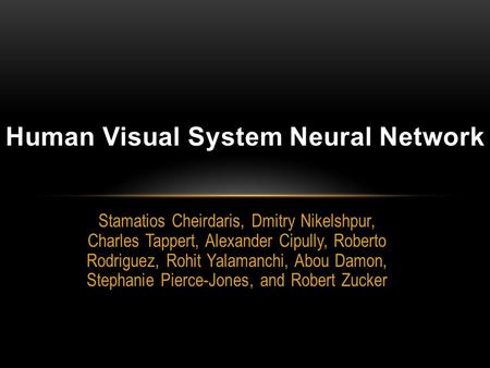 Human Visual System Neural Network