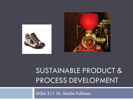 SUSTAINABLE PRODUCT & PROCESS DEVELOPMENT ISQA 511 Dr. Mellie Pullman.